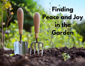 Finding Peace and Joy in the Garden