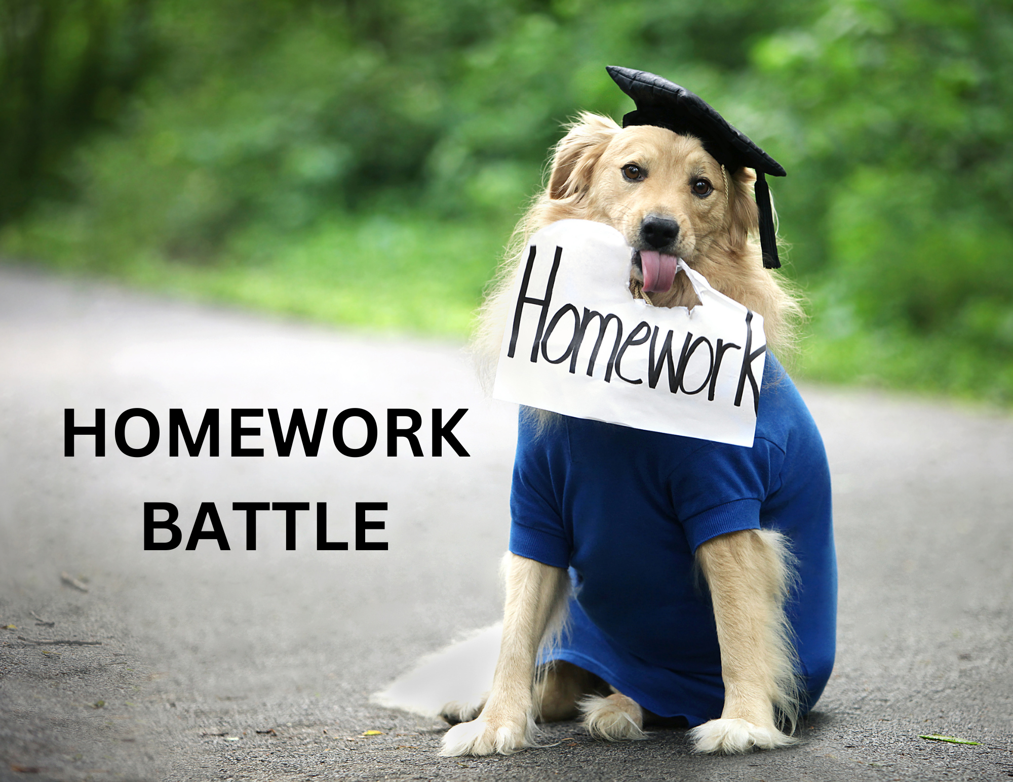 dog with cap and gown on holding paper that says homework
